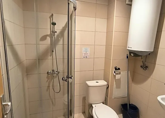 Daisy Harmony Hills روغاشيفو